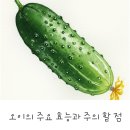 오이오이