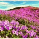 서예B반 이미지