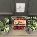 유앤메디칼 이미지