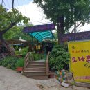 무내미 | 인천 장수동 닭백숙 전문점 소나무집 옻닭