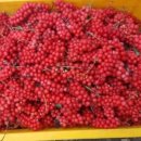 텃골농장 이미지