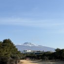 중문골프장CC | [라운딩] 제주도 중문CC 겨울 라운딩 후기｜한라산 보이는 골프장