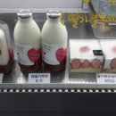 온리홍