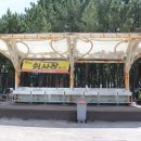 장사해수욕장(솔밭) 이미지