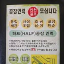 하프인력