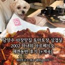 아르페지오 - 수영구 과정로 52-2 | 남양주맛집! 2002마녀의 아르페지오 애견 동반 후기 토마토 삼겹살 감자전