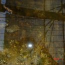 관리낚시터 이미지