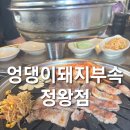 엉댕이돼지부속 | 정왕 숯불구이 맛집 엉댕이돼지부속 정왕점 방문 솔직후기