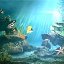 아쿠아스테이션 이미지