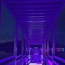 전라남도 신안군 안좌면 퍼플교 이미지