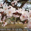 한누리 행정사사무소 이미지