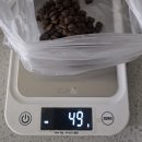 더펫레시피 | [바람펫 밀리] 30kg 대형견 자동급식기 | 4개월 실사용 후기 (내돈내산)