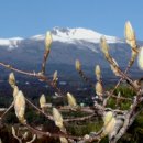 플라토닉 이미지