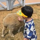 팜랜드동물병원 이미지