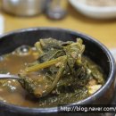 산과들약초건강원