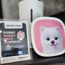 펫케어 동물병원 이미지