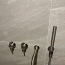 파르마 스테이 이미지