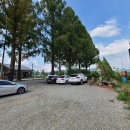 GR(담양군)-[담순로]-하-8 | 담양 애견 동반 카페 노매럴 독특한 분위기