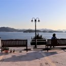 거류초등학교 이미지