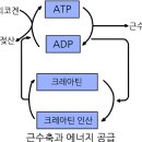가온헬스 | 대전 대흥동 헬스장 가온헬스 위치, 가격, 영업정보, 후기