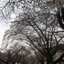 북촌35제빵소 이미지