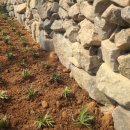 이화농장3 이미지