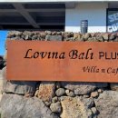 로비나발리 플러스 오션뷰 이미지