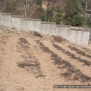 대학어린이집 이미지