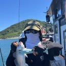 바위섬회타운 | 고흥 진바다호 붉바리 외수질 낚시 후기 (25년 8월 16일 출조)