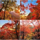 11월01일(제658차)국립공원 북한산 산행입니다. 이미지