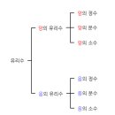 정수와 유리수