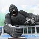 제주집2013