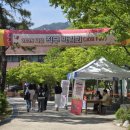 덕성여자대학교 이미지