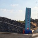 생활체육 족구장 | [제주/삼양] 수영원정| 삼양반다비 체육센터(주차장까지!)