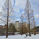 천안종합휴양 이미지