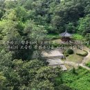 선문염송설화 이미지