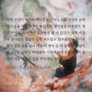[천지유광] 롯데월드에서 귀신 보고 왔습니다