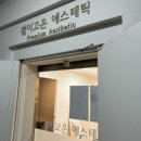 [결혼준비 ︎ ♥︎] 내돈내산 💶 결이고은 사당점 _10회차 후기