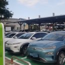 ㈜제주스타렌탈 이미지