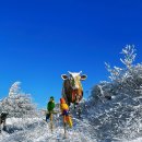 2026년 1월 정기산행 태기산(1261m),(강원도 횡성군 둔내면, 평창군 봉평면) 이미지