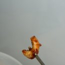 O.K마트 | 대구) 푸른회식당 | 오징어무침회 밀키트 매장 방문 포장 구매 후기