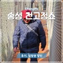 고정 | 상하이 패키지 여행 선택관광, 천고정쇼 관람 후기 (할인권 정보)