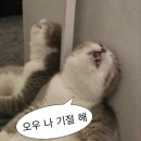 79스시