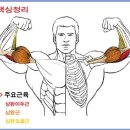 드래그 이미지