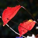 매봉약수 이미지