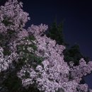 스튜디오피아체레