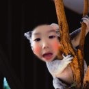 벨르마카롱