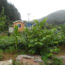 강림면301 이미지