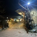 제비원식당 | 안동 제비원삼겹 솔직후기! 참숯 초벌로 즐기는 부드러운 삼겹살 맛집