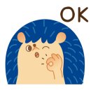 월드가전가구아울렛 이미지